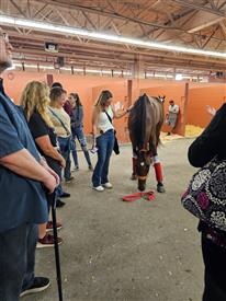 WRF 2025 Meadowlands-172640